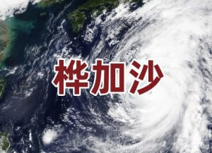 超強(qiáng)臺(tái)風(fēng)“樺加沙”來(lái)襲：公共衛(wèi)生挑戰(zhàn)與分子檢測(cè)在災(zāi)害應(yīng)對(duì)中的關(guān)鍵角色
